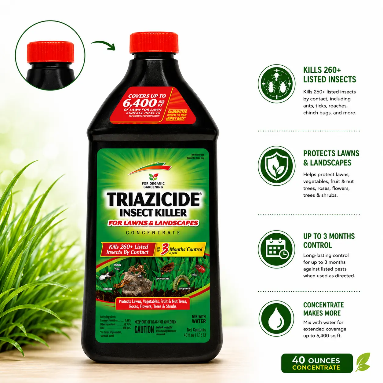 Spectracide Triazicide Insect Killer For Lawns And Landscapes Concentrate 40 Ounces