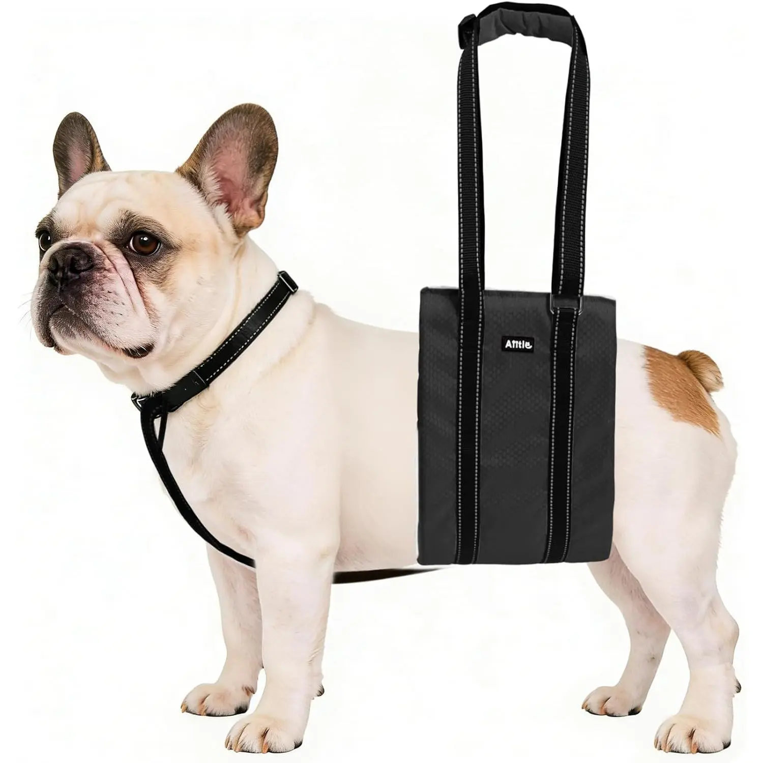 AIITLE Dog Slings for Small Dogs - Adjustable Reflective Dog Lift Harness with Anti-Slip Collar for Senior Dogs, Hind Leg Weakness, Hip Dysplasia, ACL Surgery (Black, S)