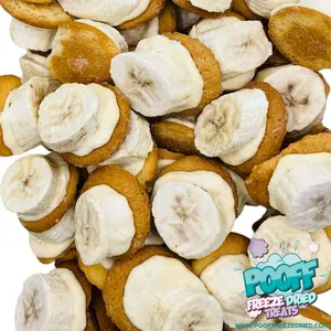 Freeze Dried Banana Pudding Bites