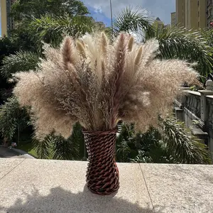 100Pcs Pampas Grass Boho Home Decor 17 inch