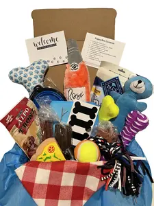 New Puppy Gift Box - New Dog Owner Gift | Welcome Home Dog Adoption Dog Toy Box | Premium Puppy Training Gift for Rescue Dogs