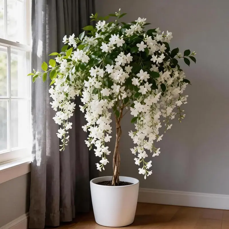 【Seeds】Non-GMO Garden Home Jasmine Garden Balcony  Flower Jasmine Flower Seeds for Planting Fragrant Plant Seeds