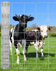 Heavy Duty Galvanized Wire Fence for Garden & Yard – 6FT x 164FT Welded Hardware Cloth Mesh, Durable Livestock & Cattle Panel, Poultry, Hog, Goat, Sheep, Deer, Chicken Barrier, Rust Resistant