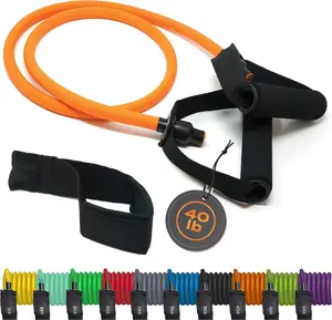 Resistance Bands Set for Men, Women, Exercise & Workout. Fitness Bands for Leg & Bicep Work. Workout Bands for Working Out. Stretch Bands for Physical Therapy. Strength Bands. Elastic Weight Training. TRIBE