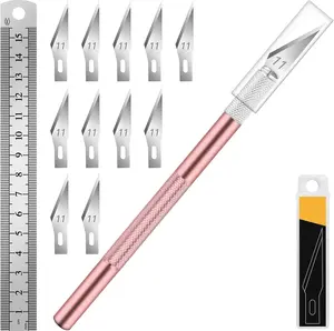 1 Pcs Craft Hobby Knife with 11 Pcs Stainless Steel Blade Kit, 1pcs Steel 15CM Ruler for Art, Scrapbooking, Stencil (Pink)