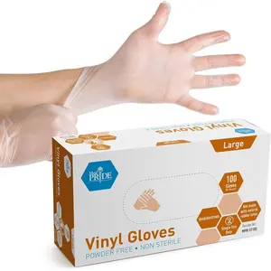 Large Powder-Free Vinyl Gloves 100 Count | General Purpose Disposable Gloves for Home Healthcare