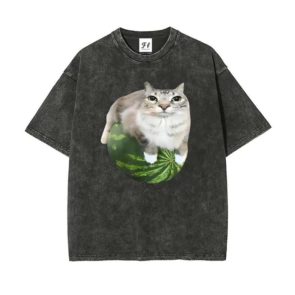 Funny and quirky Watermelon Cat Unisex Plus Size Summer Graphic Tees Personalized Pattern Y2k Clothing Round Neck Short-Sleeved Washed T-Shirt,Women's Clothing 100% Cotton, Menswear, Top, Vintage Style, Casual Oversized