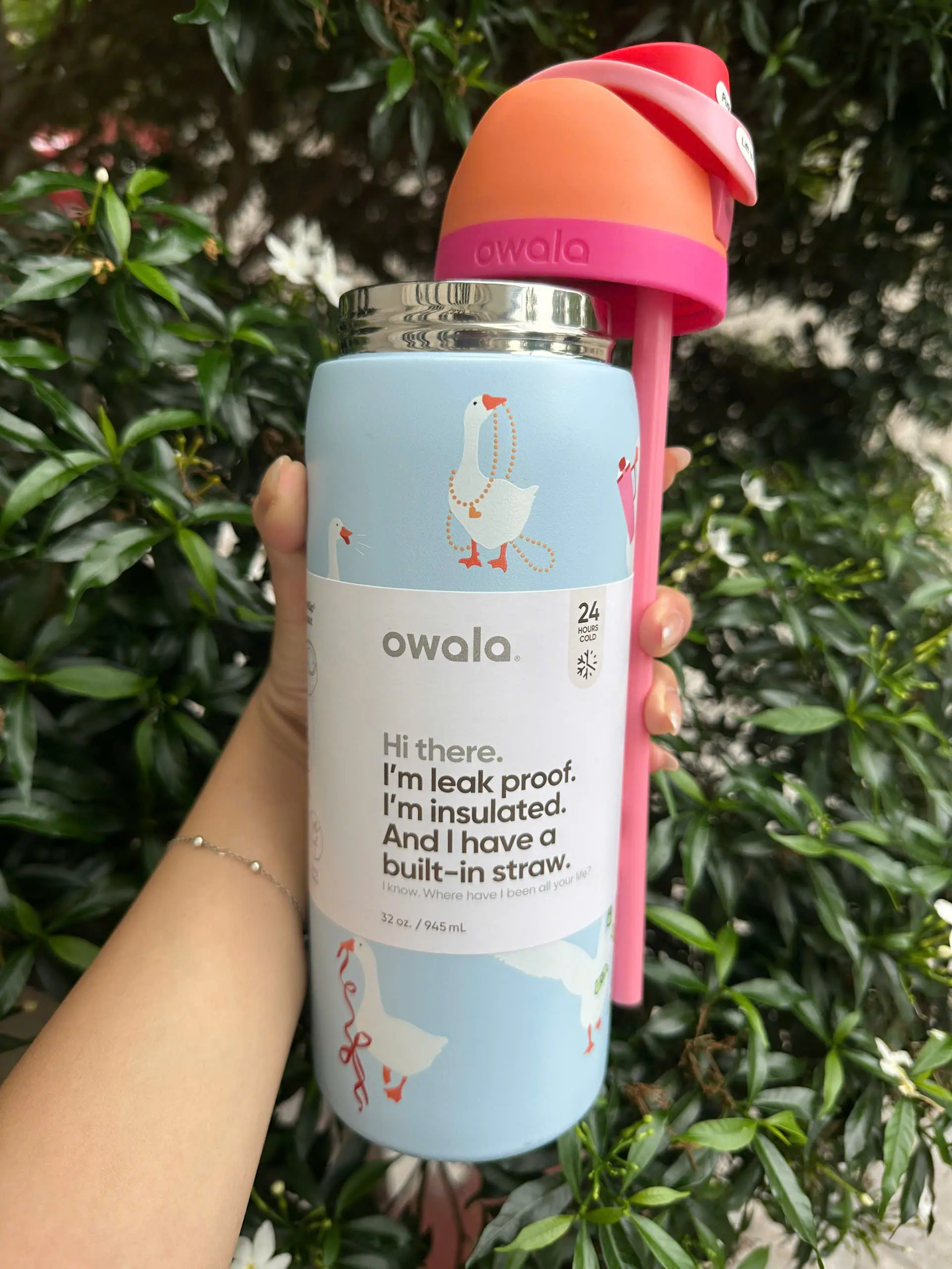 NEW IN BOX Owala Silly Goose Water Bottle Freesip 32oz Limited Edition