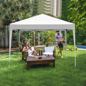 10x10 ft Portable Canopy Pop Up Tent with Removeable Sidewalls, Folding Wedding Part, Beach Tent, Outdoor Sun Shade for Events, Parties, Camping,Summer Vibes