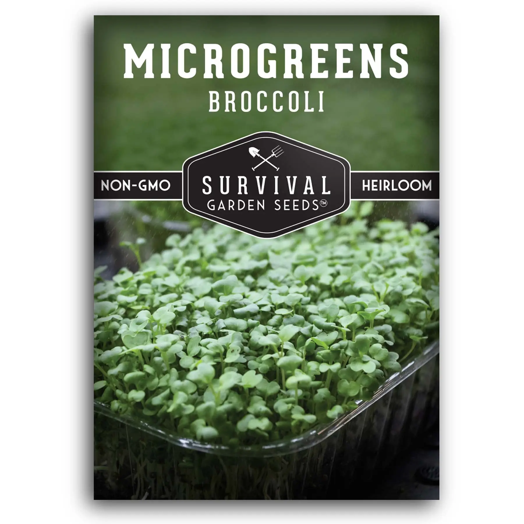 Broccoli Microgreens Seeds Broccoli Microgreens Seeds