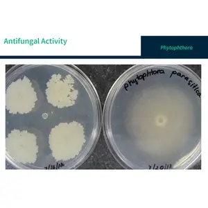 FertiPro, enzyme and bacteria for root protection, 100% Organic, BioShield Plant Protect