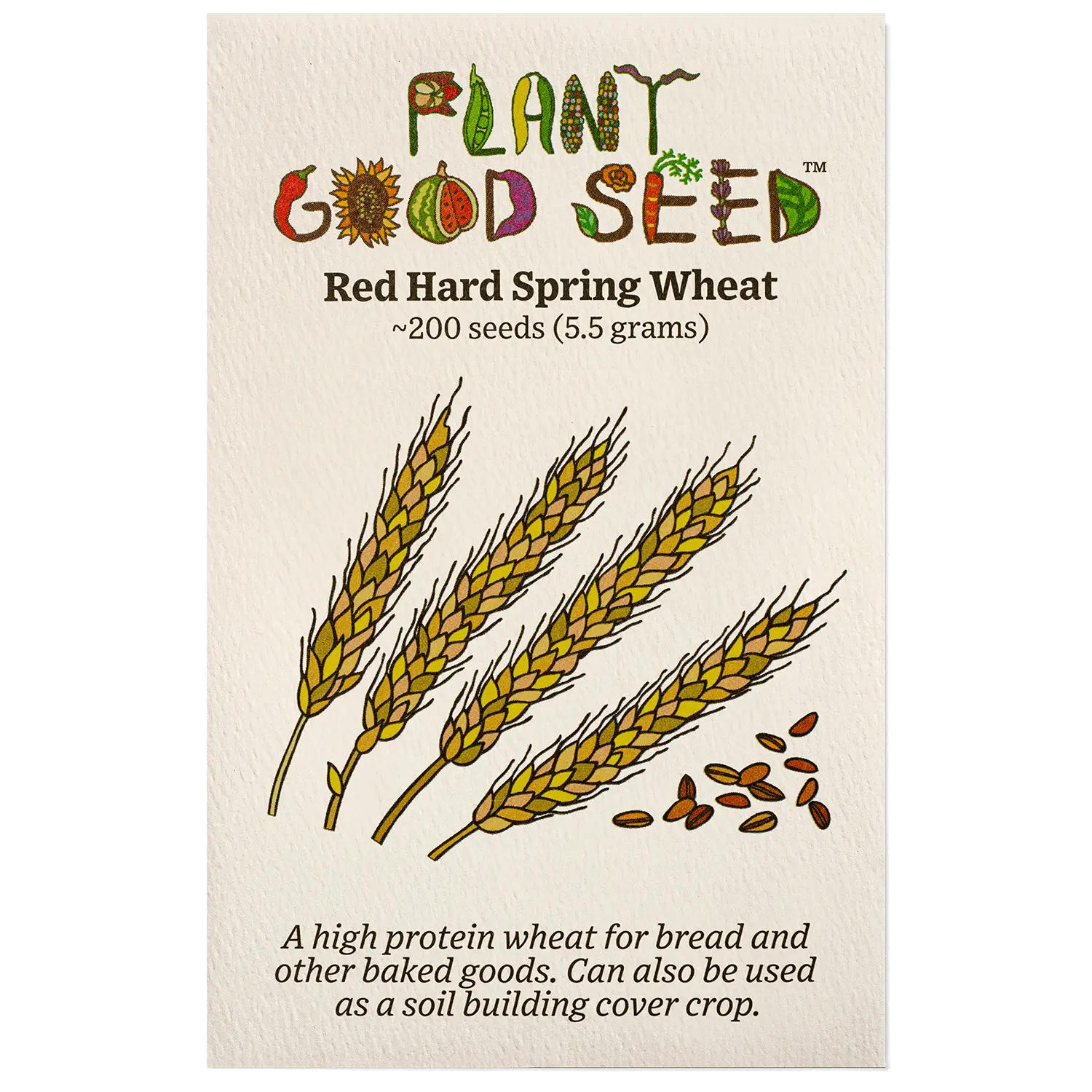 Red Hard Spring Wheat Seeds for Planting: Certified Organic, High Protein Grain for Dough Making, Sourdough Breads, Cover Crop - 200 Seed Packet / Bulk Pack