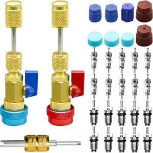 31Pcs Valve Core Remover Installer Tool Set, Low Pressure AC Valve Removal Tool with Valve Core AC Port Cap Stem Kit for Refrigerant Air Conditioner System