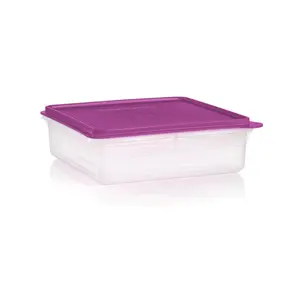 Tupperware Snack-Stor Square Container