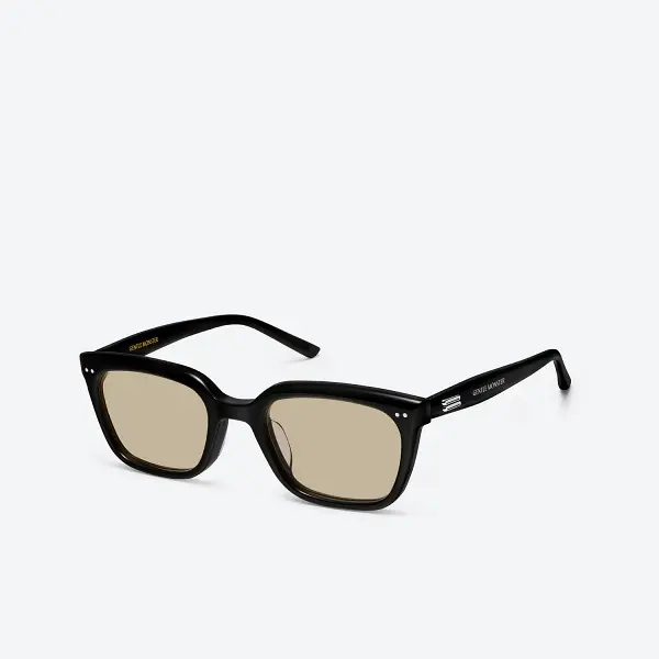 GENTLE MONSTER Soho 01(BR) Black Frame Brown Lenses Square Shape