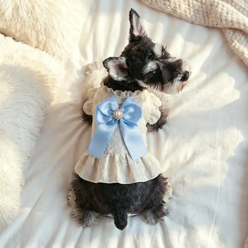blue dog dress - TikTok Shop