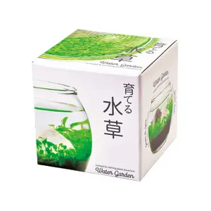 Water Garden Kit