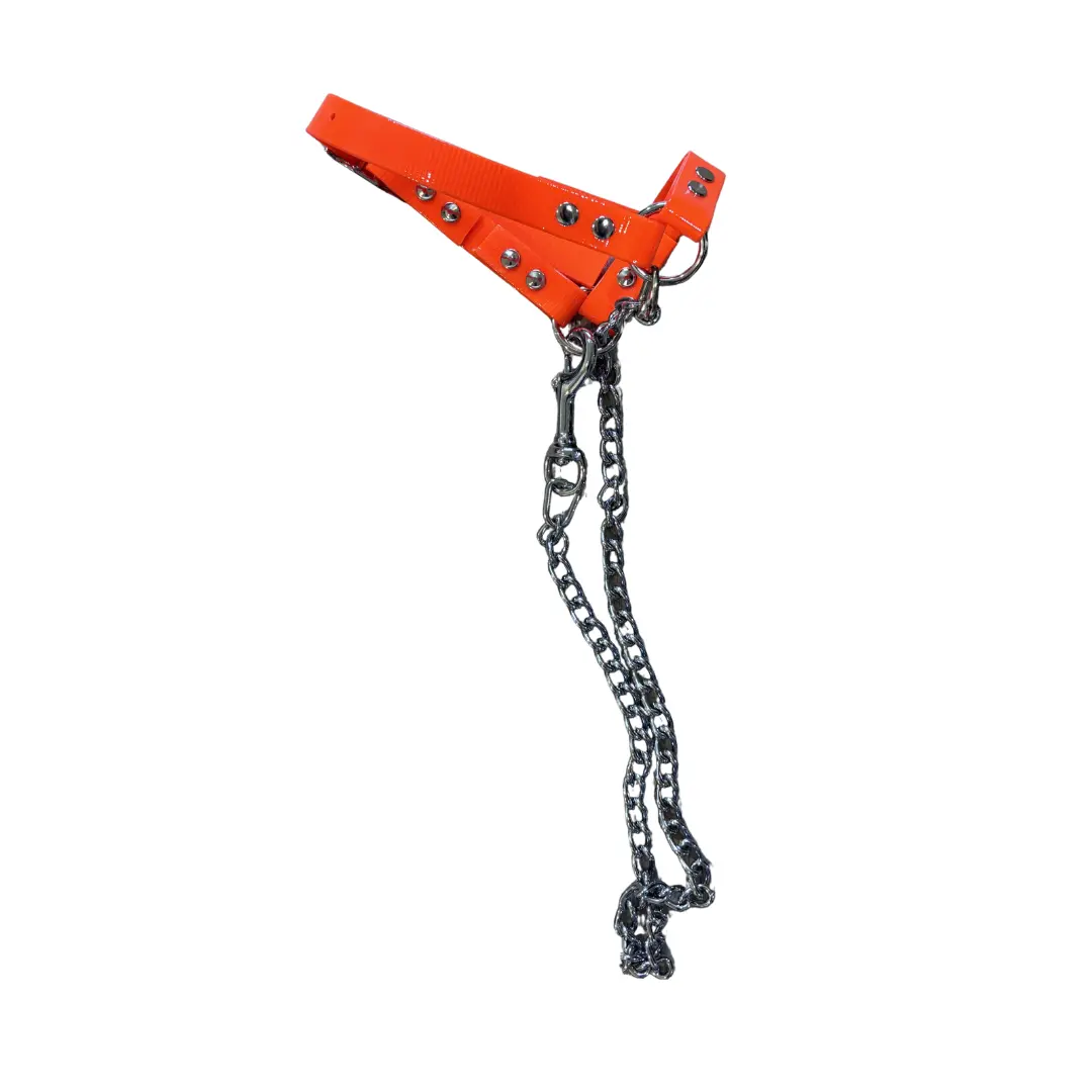 Sheep Chain Halter