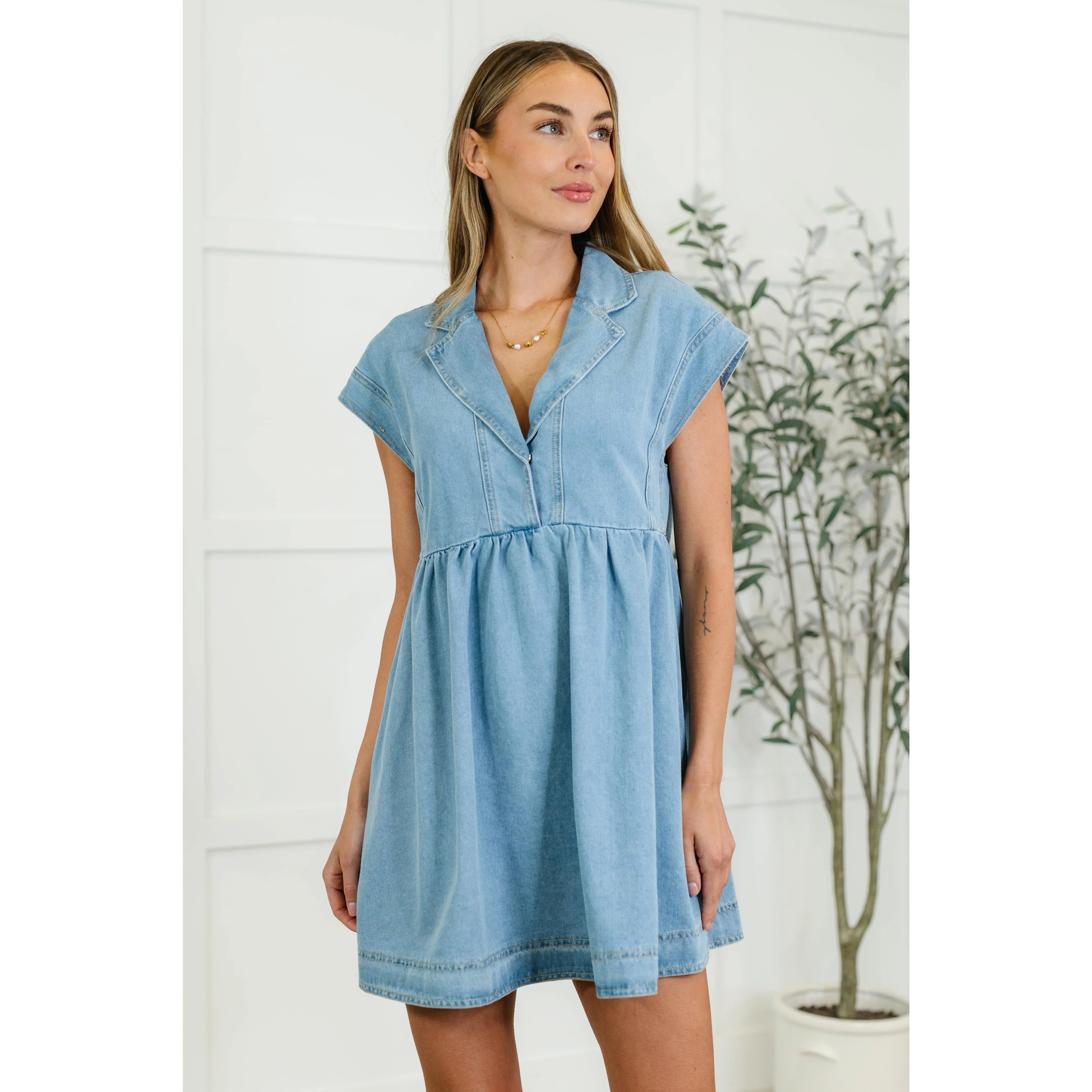First Rodeo Denim Dress