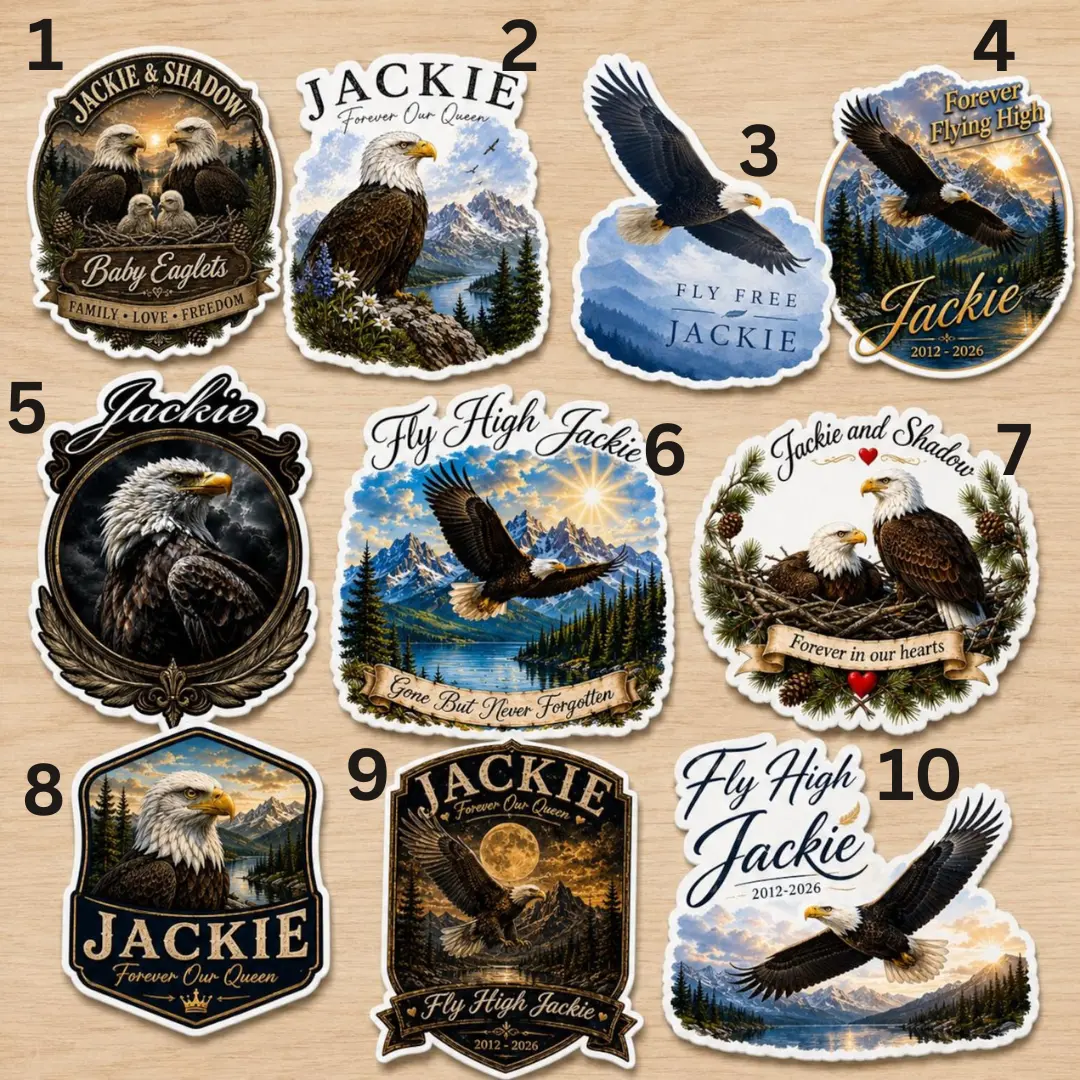 Fly Free Jackie Sticker/Magnet, Big Bear Eagle Memorial Decal, Bald Eagle Tribute Sticker, Jackie the Eagle Gift, Bald Eagle Memorial , Eagle Sticker pack, Wildlife Decal -  Novara Studio