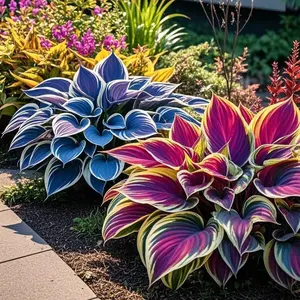 800pcs Mixed Flower Seeds – Colorful Foliage Blend for Shade Gardens, Pots & Borders