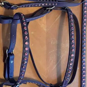 Pink crystal biothane bridle set