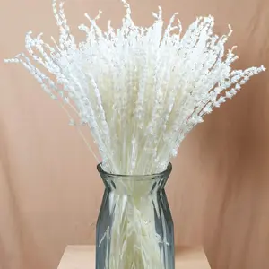 Dried Lavender Flowers Bundle - 2 Packs of 180+ Stems, 15-17" Real Bleached White Lavender Bouquet, Mother’s Day Gift for Home Decor, Wedding Crafts, Plants-Infused Decorative Arrangements