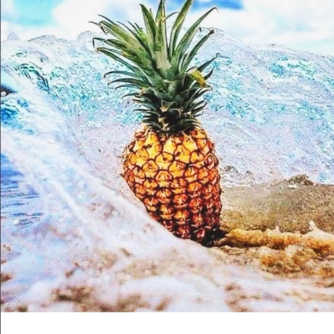 Pineapple sage by Wax N Wix Candles