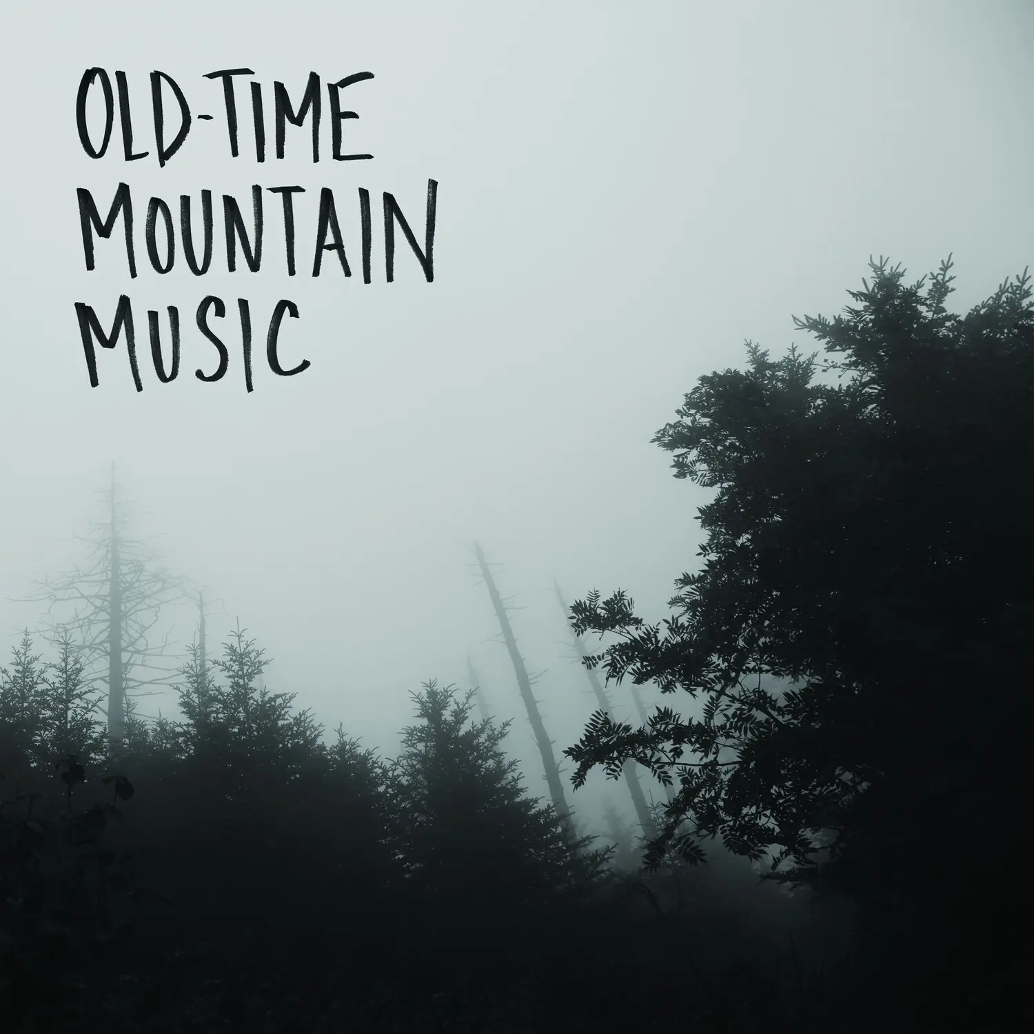 Jeremy Drummond Old-Time Mountain Music & Other English Songs Vinyl Record LP (Long Play) - 11 Tracks, Vintage Audio Collectible, Vinyl Records