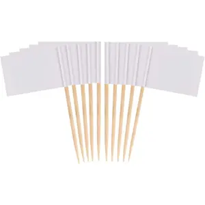 100 Pcs (White) Blank Toothpick Flags, Cheese Markers Small Mini Stick Cupcake Toppers