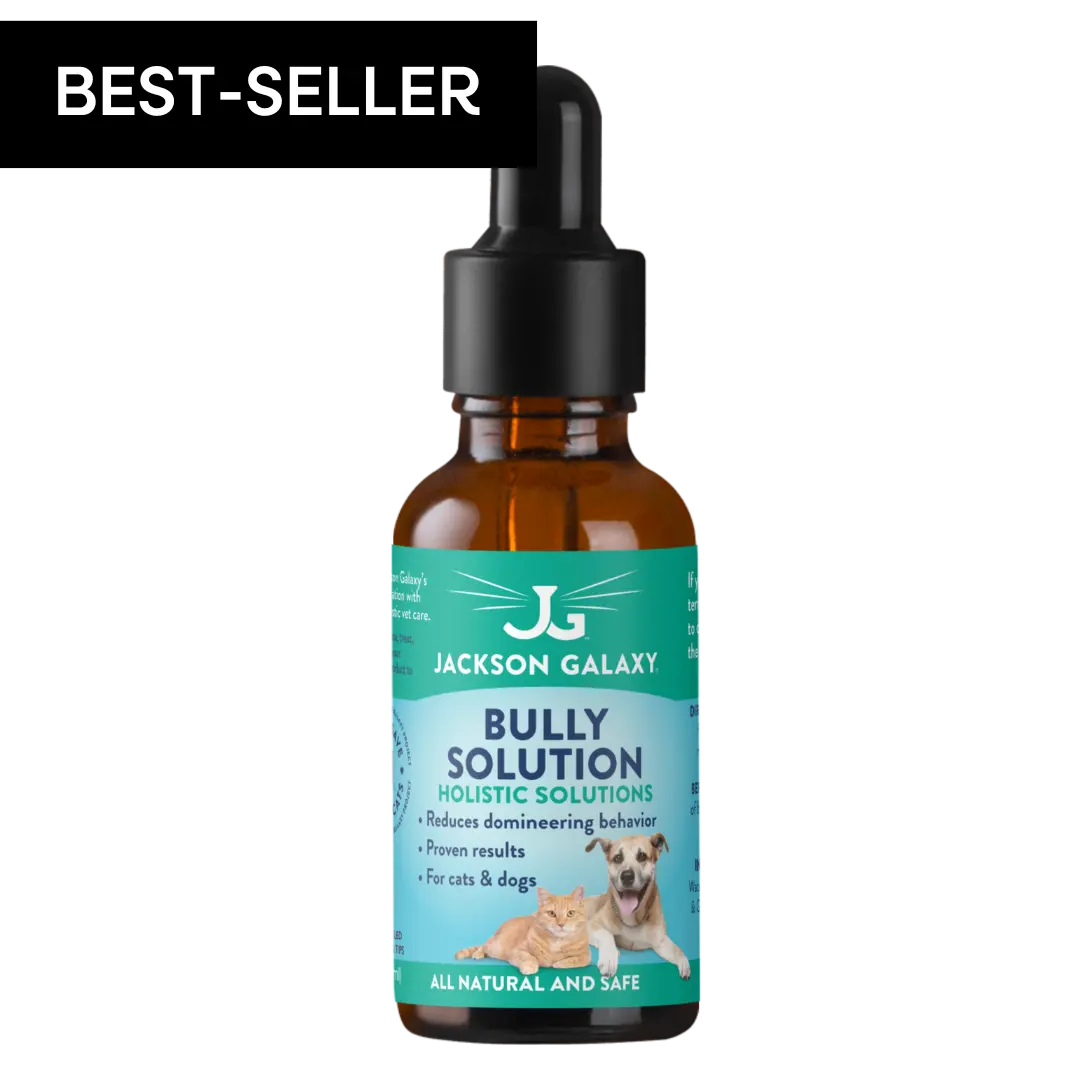 Bully Solution Bully Solution