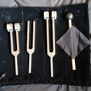Professional Healing Tuning Forks Set, 1 Set Including 128 Hz/256 Hz/512 Hz Tuning Forks, Wooden Mallet, Storage Bag and Cloth, Musical Instrument Accessories