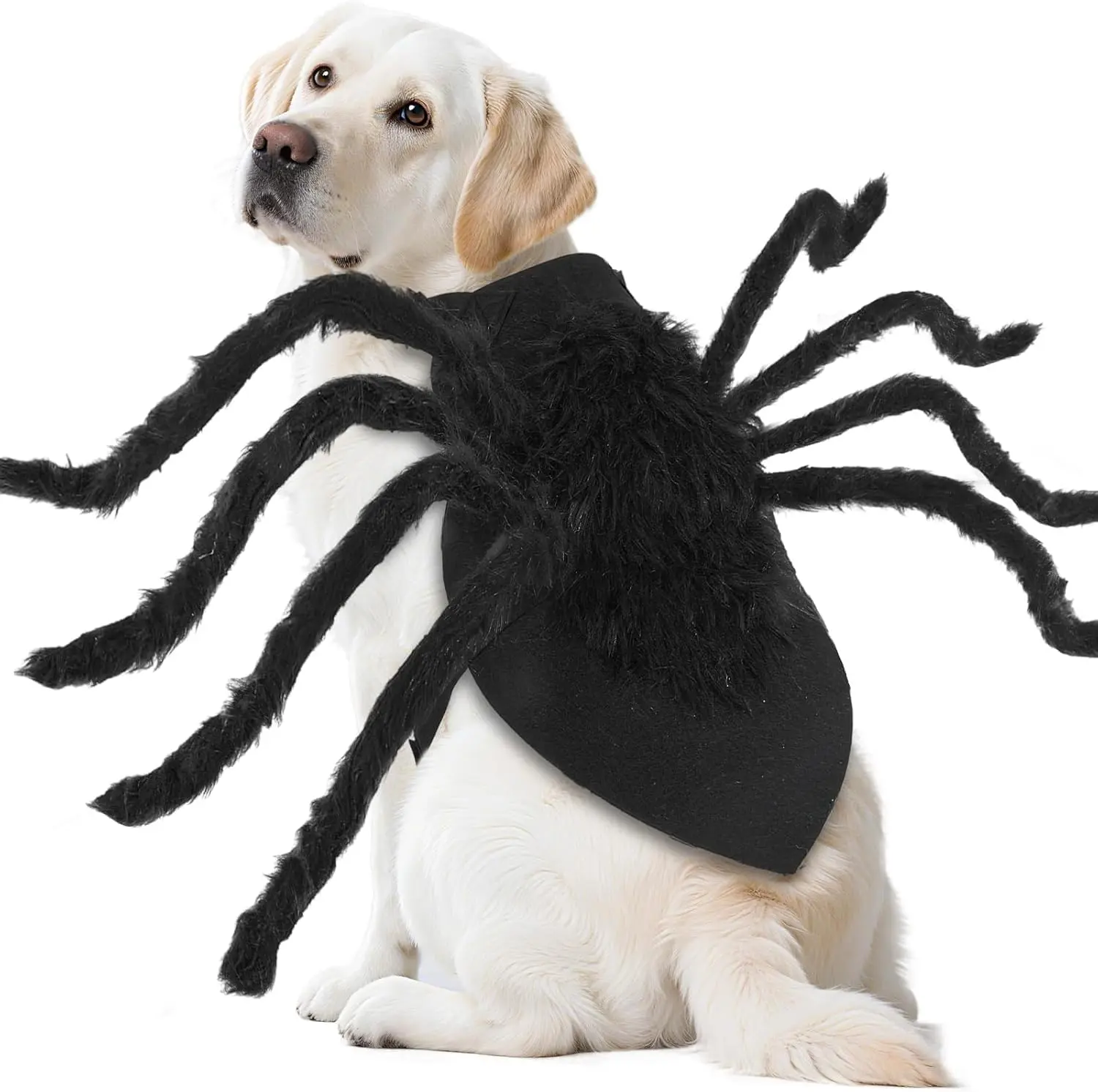 Dog Halloween Spider Costumes for Small Medium Large Dogs Funny Outfits