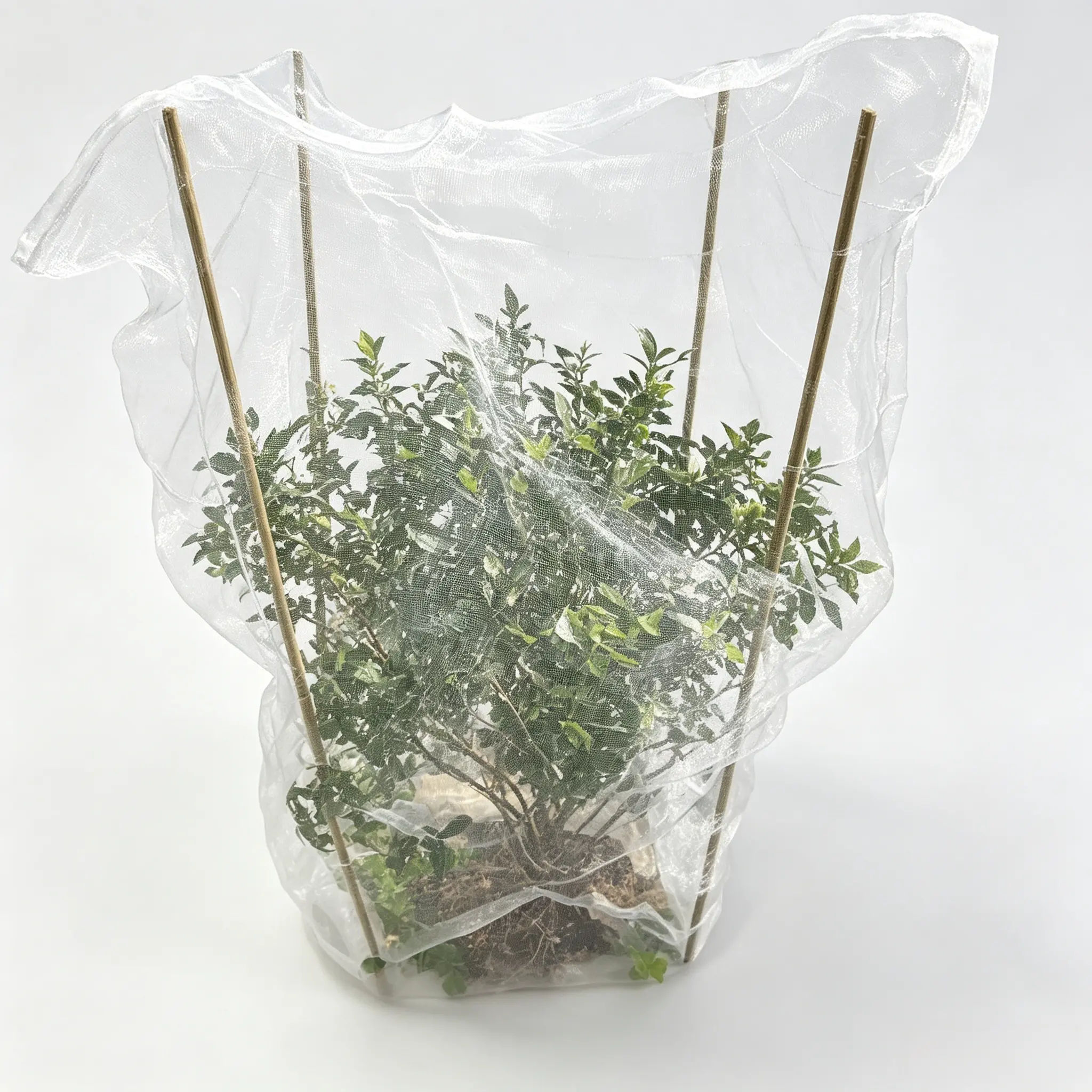 Fruit Protection Bags 2-Pack (31.5"x39.6" OR 39.6"x59") | White Garden Netting for Vegetables & Tomato | Bird & Insect Mesh Cover for Blueberry