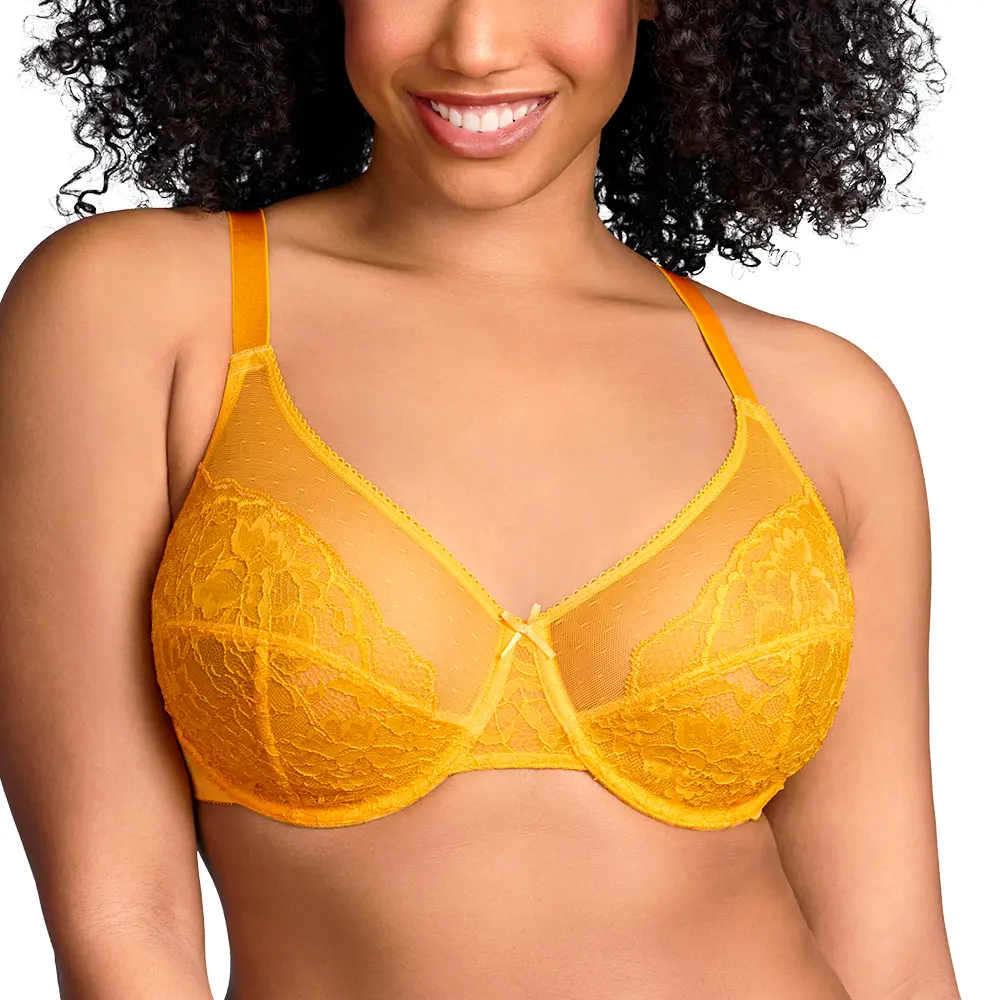Live Only HSIA Enchante Full Coverage Floral Lace Unlined Plus Size Comfort Non-padded  Underwire Bra TikTokShopBlackFriday