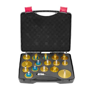 SummerWins17-Pc Aluminum Alloy Plastic-Coated Professional Hand Tool Set, All-in-1 Tool Kits with Brake Master Bleeder Kit, Carrying Handle, Quick Connects, Easy-Install Adapters for Brake Fluid Filling, Fits Most Cars, All-In-One Tool Kitsdealsforyoudays