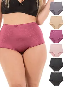 High-Waist Light Tummy Control Girdle Panties (Multi-Pack) Comfort Floral Fabric Womenswear Panty Retro