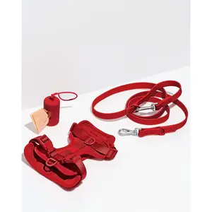 Collar & Leash Set – Durable & Stylish
