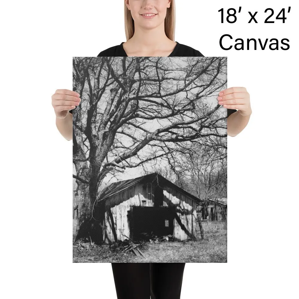 Tree-Hut-Curtis-Neeley-Canvas Classic B&W, Groupf16
