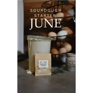 June Sourdough Starter