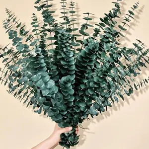 17" Preserved Eucalyptus Stems Bundle, Natural Dried Eucalyptus Branches for Home Decor, Long Lasting Shower Vase Arrangement, Reusable Floral Stems for Wedding and Bathroom, Fresh Look Baby Shower Decor Decorative Fruit Decoration Plants Ornaments Flower