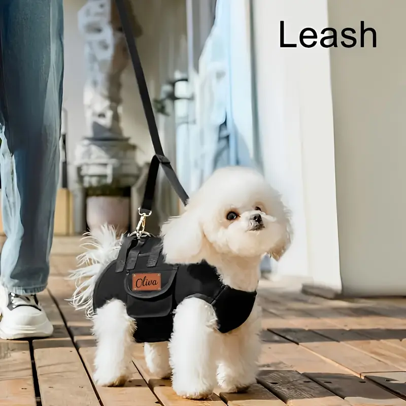 Customized Name Dog Harness - Polyester Lead, Hand-Free Crossbody Vest for Small Dogs, Portable Outdoor Use, Comfortable & Breathable, S