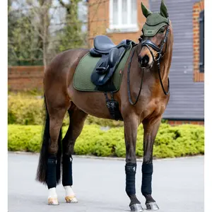 IT07970 LeMieux Essence Dressage Square English Saddle Pad - Pine Green