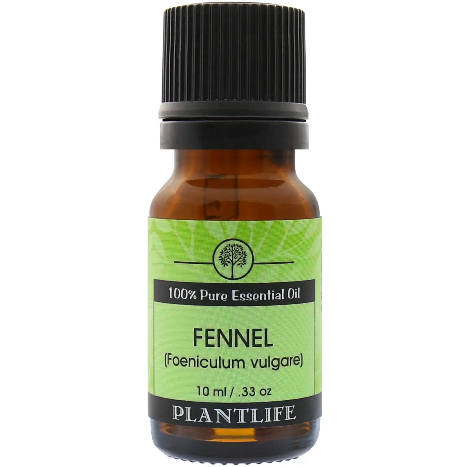Plantlife Fennel Sweet Essential Oil 10 ml – Warm Licorice‑Aromatic Oil for Uplifting & Balancing Blends