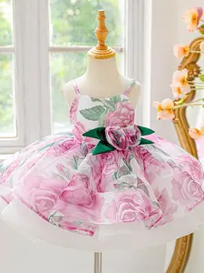 Baby Girl Clothes Infant Christening Cocktail Toddler Baptism Pageant Birthday Party Ball Gown Princess Dress Rose printed dress for all Season 6 Months to 3 Years