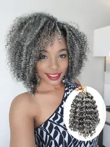 5 Pack 8 Inch Short Curly Crochet Hair Braids, Spiral Curls, Synthetic Hair Extensions, DIY Mohawk Afro Braided Hairstyle