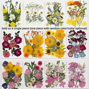 15 Pieces Dried Pressed Leaves Dried Flowers For Resin Real Assorted Dried Greenery For Pressed Leaf Art Craft DIY Handmade Bookmarks Embellishment Decorations Crafting Kit