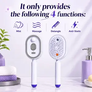 Electric Spray Air Cushion Massage Comb. 3-in-1 Multifunctional Hairbrush-Nano Fine Mist Spray, Red Light Therapy, and Retractable Design, for Hair Care, Scalp Massage, Daily Styling