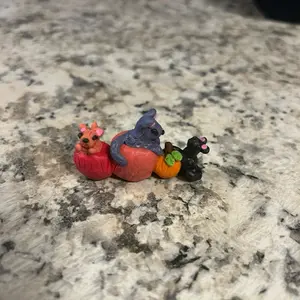 Tiny little kittens and pumpkins!!