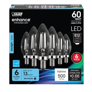 Feit Electric 60 Watt Replacement Daylight 5000K E12 Base B10 Dimmable LED Light Bulb 6 Pack